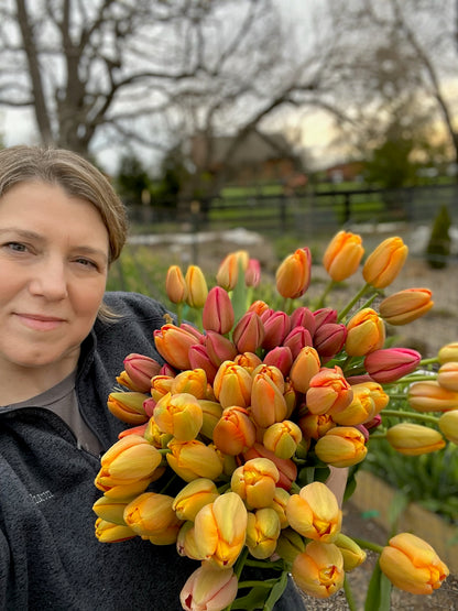 4 Weeks of Specialty Tulips (March 12 - April 2)