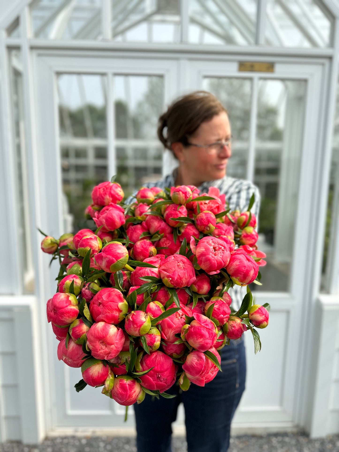 4 Weeks of Peonies (May 14 - June 4)